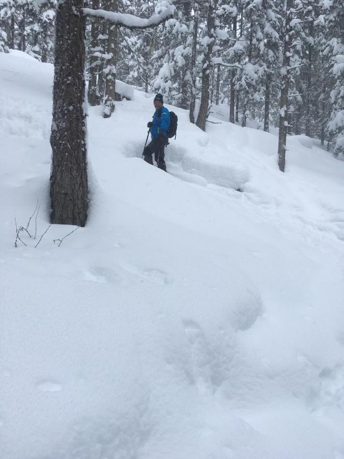 Ferienwohnung Zwoelferblick Bramberg am Wildkogel Kültér fotó